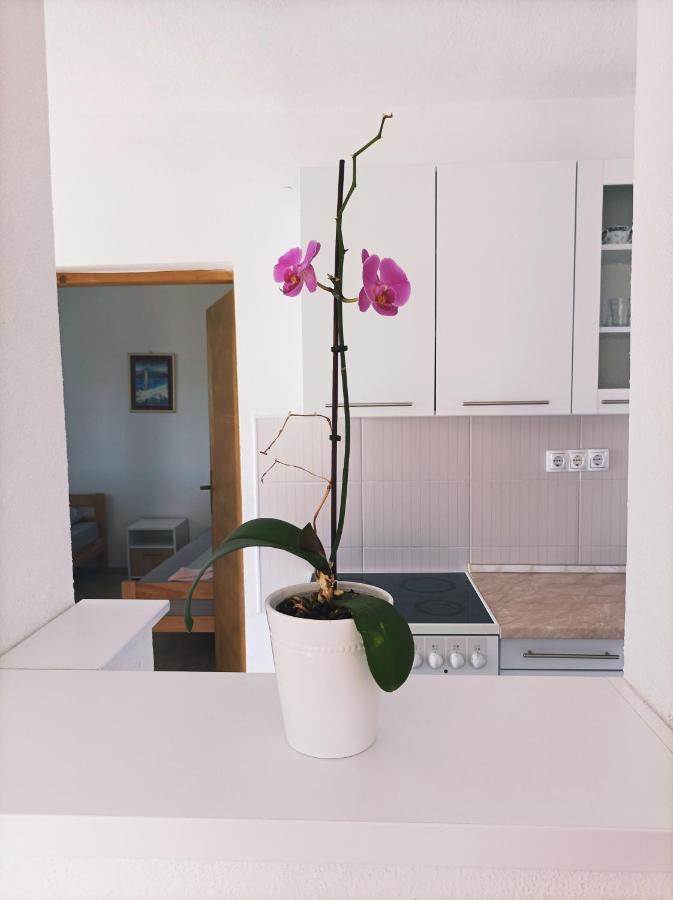 Dina Apartman Jablanicko Jezero 코니츠 외부 사진