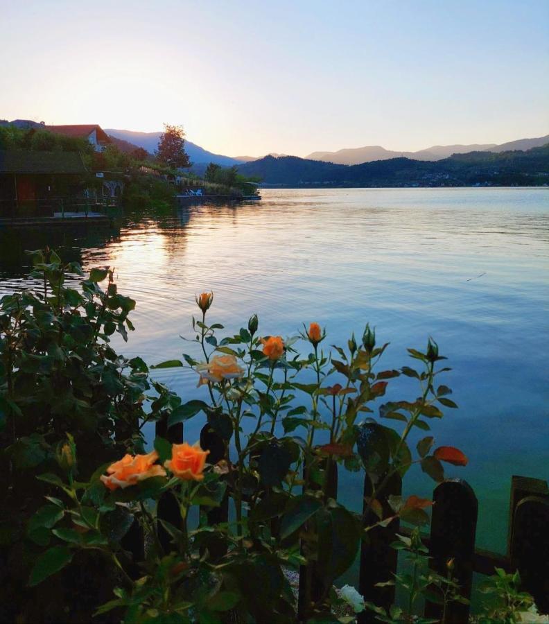 Dina Apartman Jablanicko Jezero 코니츠 외부 사진