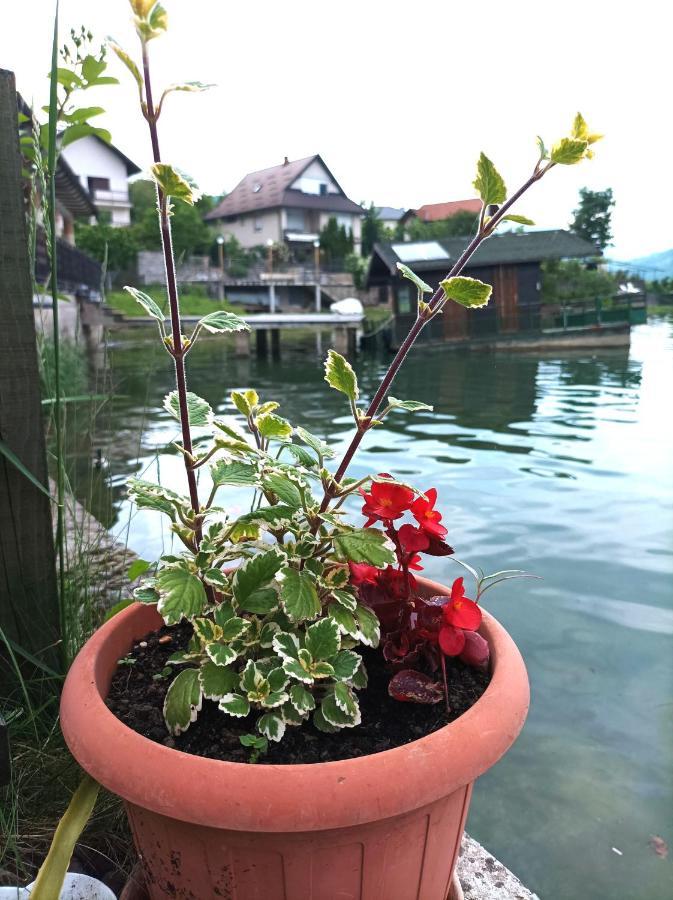Dina Apartman Jablanicko Jezero 코니츠 외부 사진