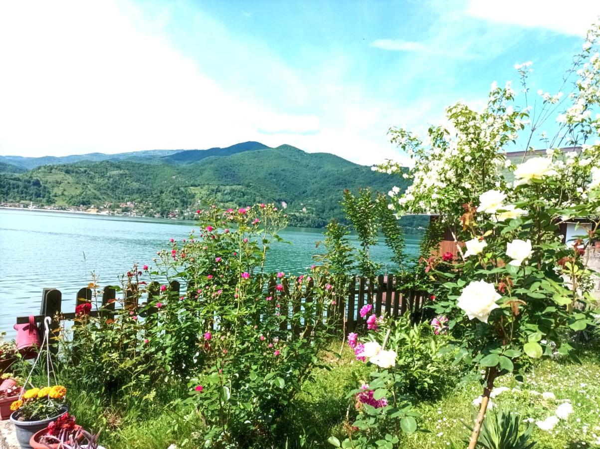 Dina Apartman Jablanicko Jezero 코니츠 외부 사진