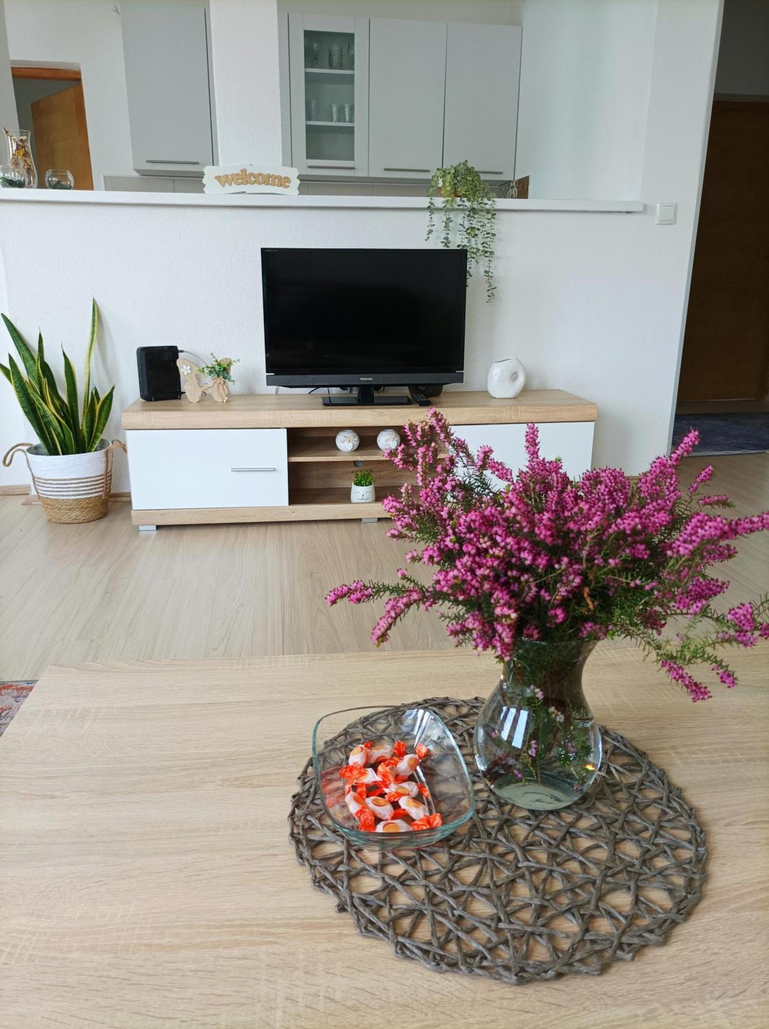 Dina Apartman Jablanicko Jezero 코니츠 외부 사진