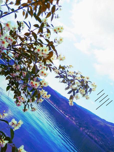 Dina Apartman Jablanicko Jezero 코니츠 외부 사진